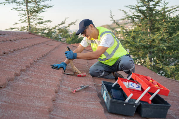 Best Metal Roofing Contractor  in Boiling Spring Lakes, NC